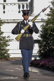 When the sentinel assigned the next walk leaves the guards' quarters, he unlocks the bolt of his M-14 rifle to signify that he is ready to begin the ceremony.