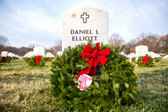 Spc. Daniel L. Elliott, 21, of Youngsville, N.C., died July 15 in Basra, Iraq, when enemy forces attacked his unit with an improvised explosive device. He was assigned to the 290th Military Police Brigade, 200th Military Police Command, Cary, N.C.