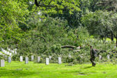 Just as flags were to be placed at the Tomb Of The Unknowns a storm hit and all had to run for cover.  Many large old trees fell, hard rains, high winds only lasting about fifteen minutes then the soldiers were back out placing flags