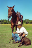 Goldy, his horse, his dog, my friend and a true Vietnam Vet.  "Together Forever"
