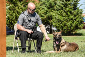 They are extremely valuable, and not just for their service.  Only about 50% make it through training. <br />They aren’t all German Shepherds.