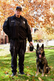President Clinton passed “Robby’s Law” in 2000 which allows handlers and their families first dibs at adopting military animals at the end of their useful service. The dogs are next offered to law enforcement, then adoptive families.