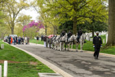 Navy Chaplain leads the way to Section 31 burial site.