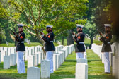 Rifle Salute