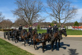 Fort Myer Army caisson team